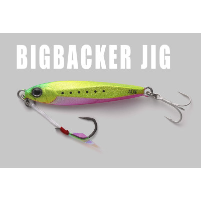 Jackall Big Backer JIG 60g